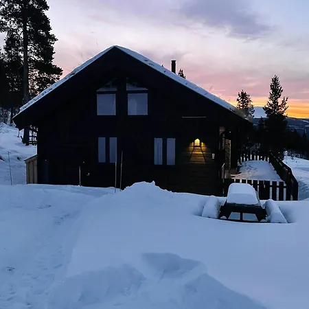 Modern At The Gateway To Jotunheimen 別荘 Randsverk