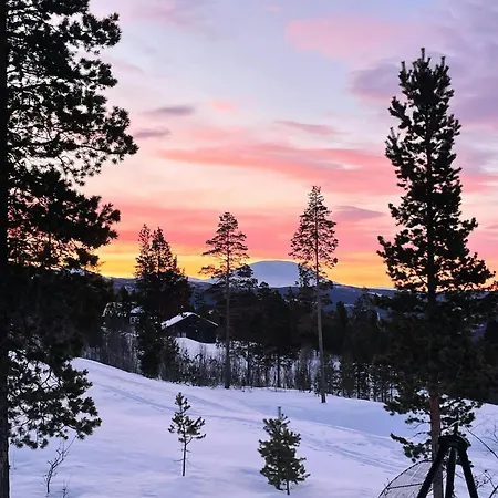 Modern At The Gateway To Jotunheimen 別荘 *